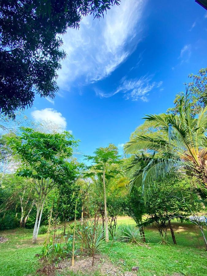Hostal Portal Del Sol Capurganá エクステリア 写真